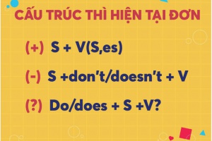 Cách dùng thì hiện tại đơn, công thức và bài tập áp dụng - Simple Present